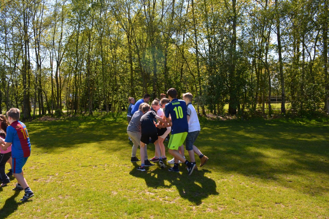 DSC_0344 (Medium).JPG